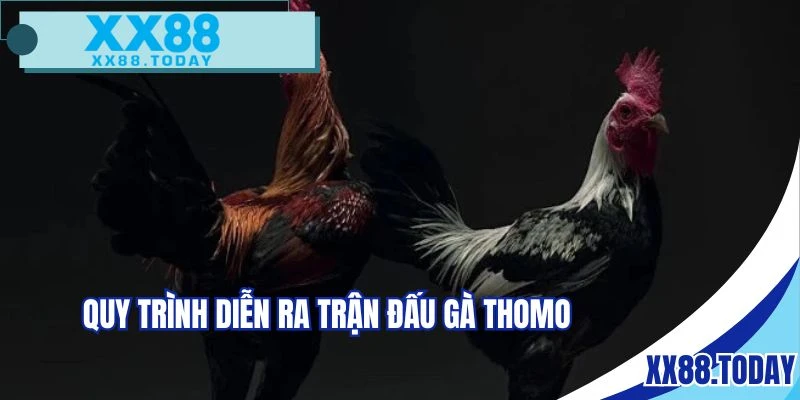 Người chơi cần nắm quy trình diễn ra trận đấu